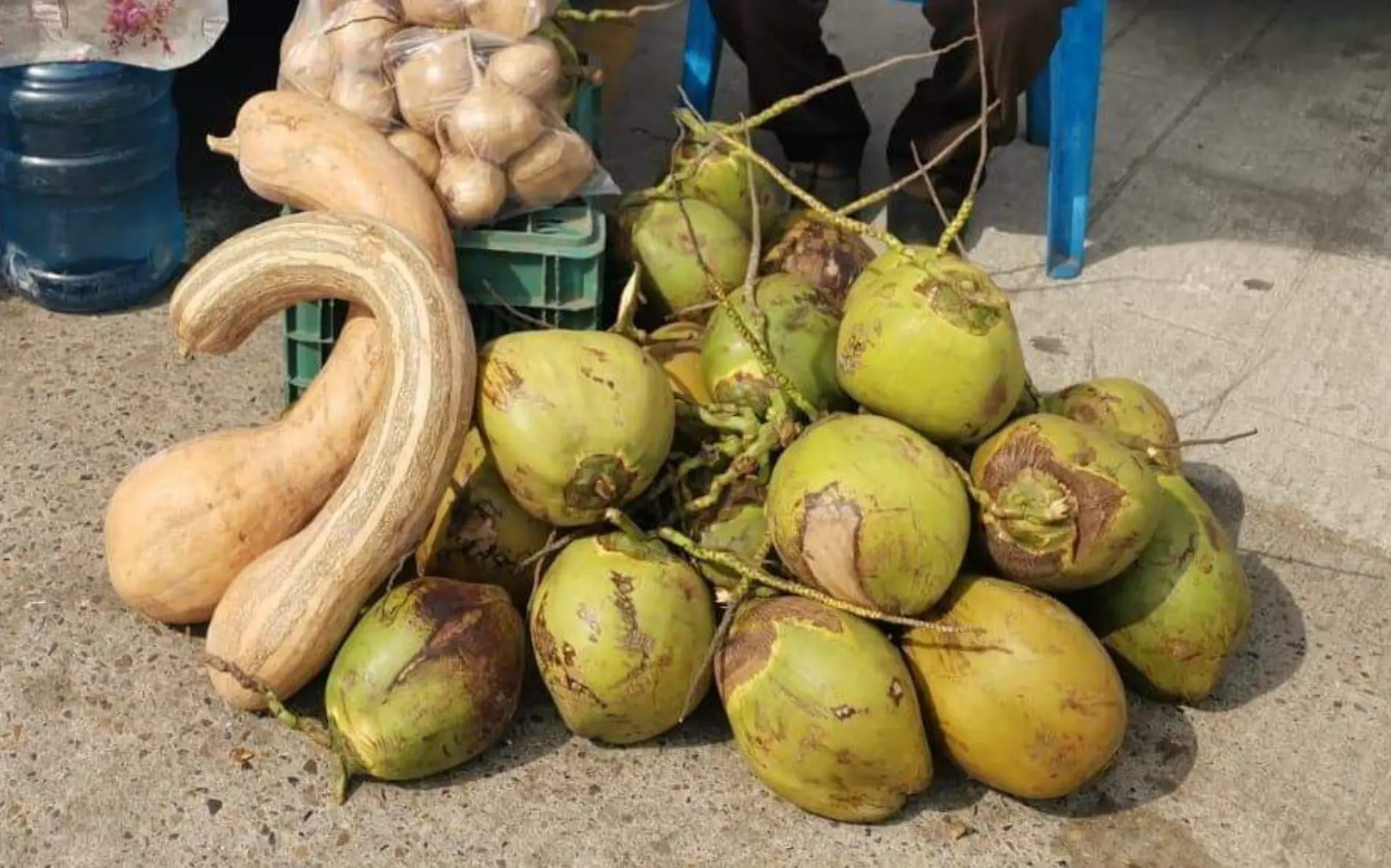 Regresaron los vendedores de coco a Pueblo Viejo Alfredo Márquez (2)